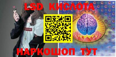 стафф Малгобек