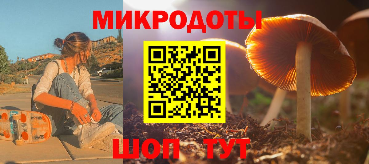 Псилоцибиновые грибы прущие грибы Вичуга