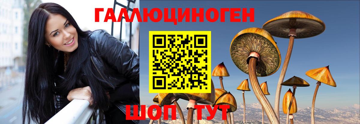 Вичуга  Псилоцибиновые грибы прущие грибы  Вход с VPN 